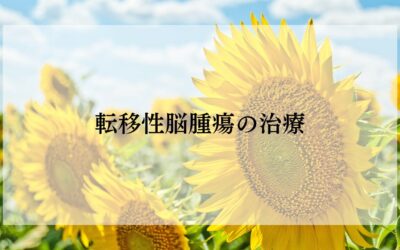 乳がん転移性脳腫瘍の治療