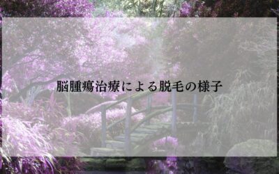 乳がん 脳腫瘍治療による脱毛の様子
