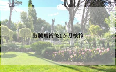 乳がん脳腫瘍術後1か月検診