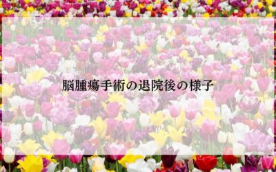 乳がん脳腫瘍手術の退院後の様子