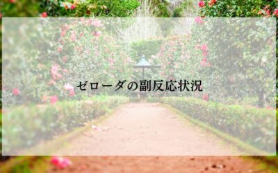 ゼローダ服用状況