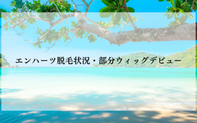 エンハーツ脱毛状況・部分ウィッグデビュー